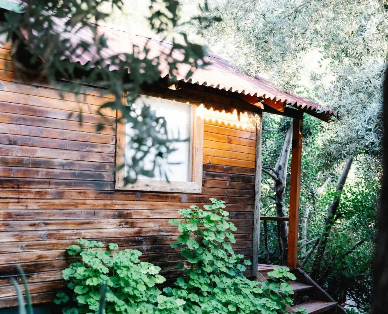 Kaplumbaga Bungalows Fethiye Rezort