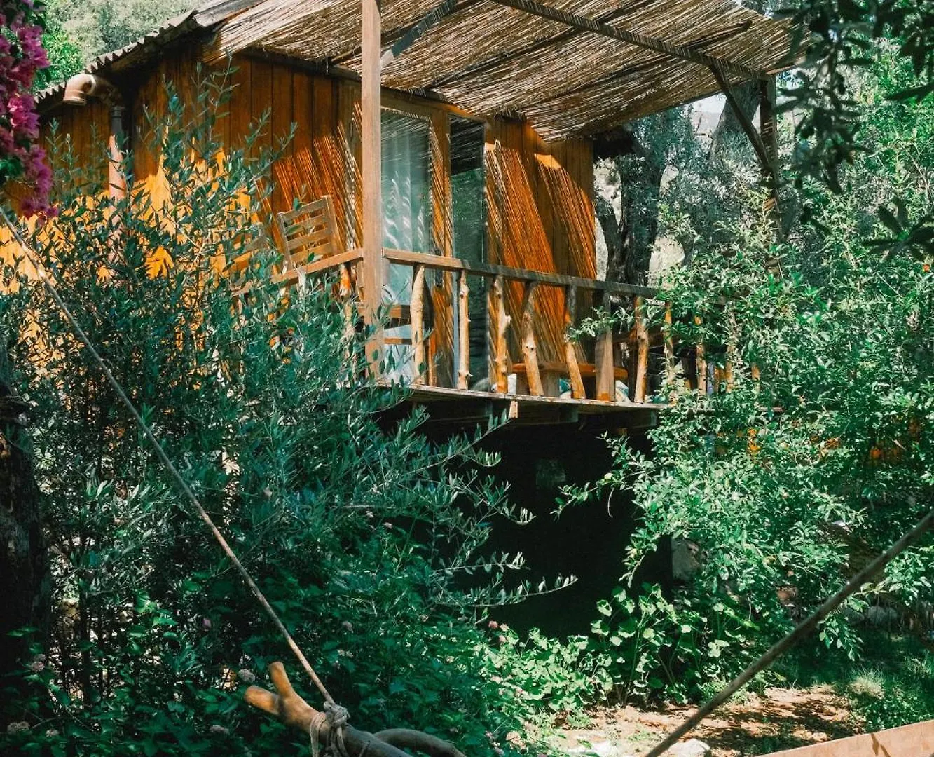 Kaplumbaga Bungalows Fethiye